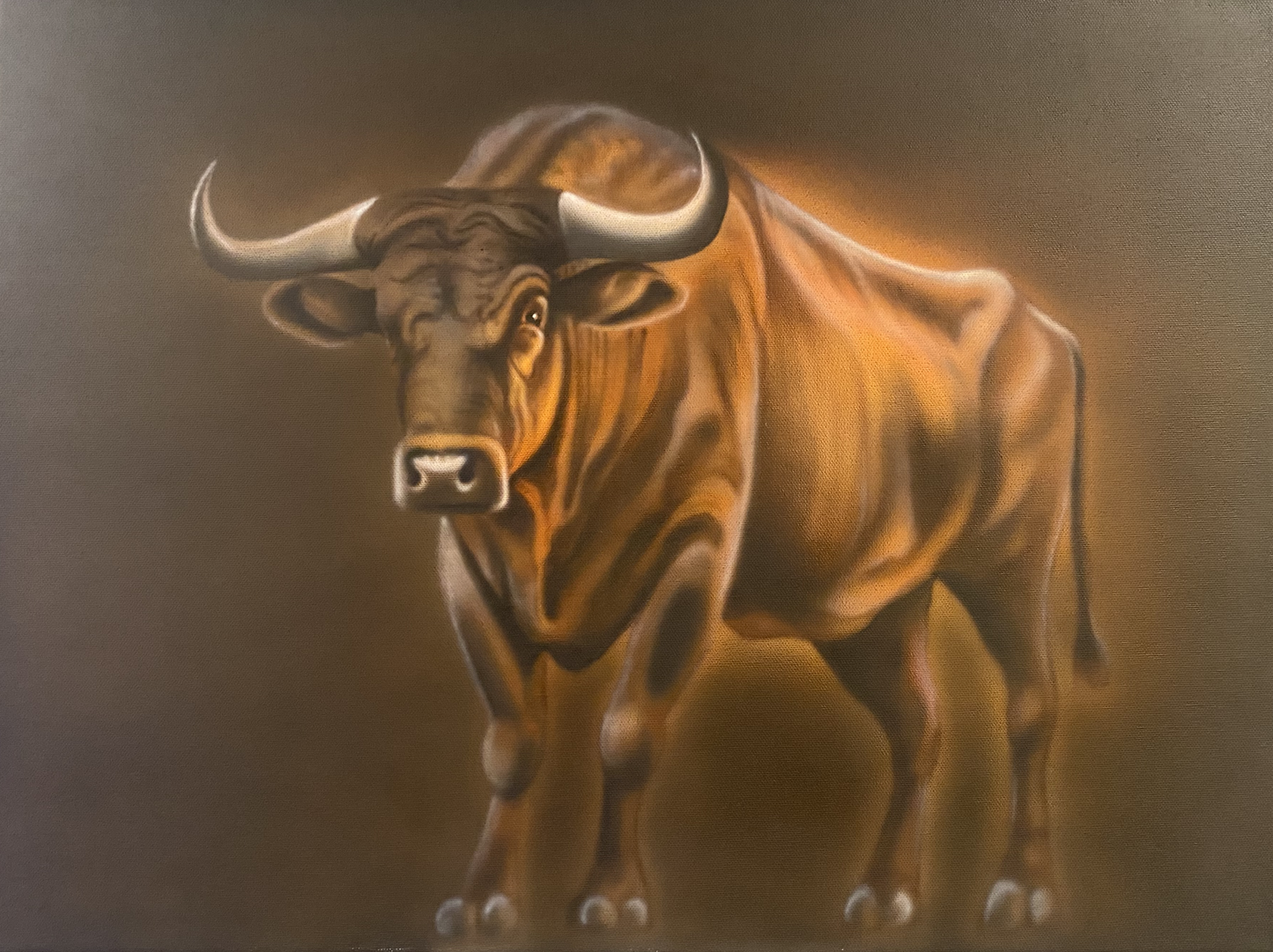 Bull